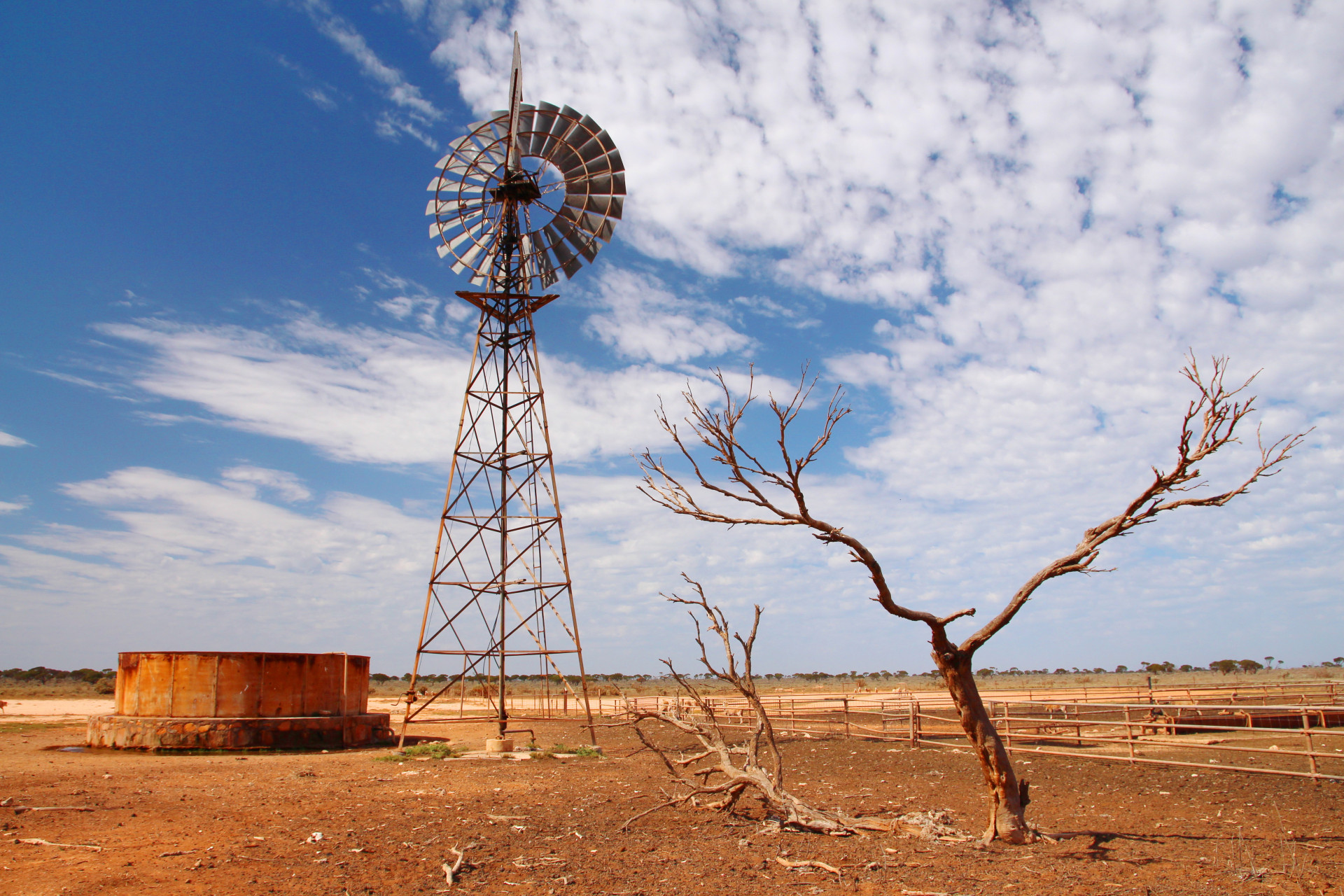 Drought affected land
